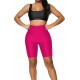 Colanti Scurti Luciosi Lycra Roz -cl991 Lichidare de stoc